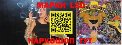 прущие грибы Будённовск