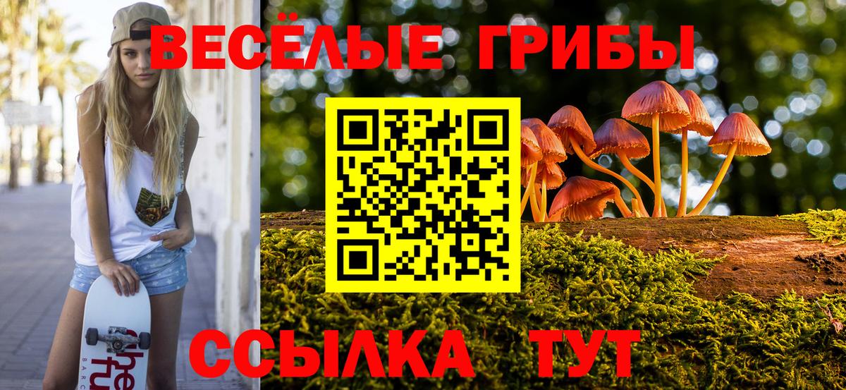 наркошоп  Галлюциногенные грибы Cubensis  Вход с VPN  Шебекино 