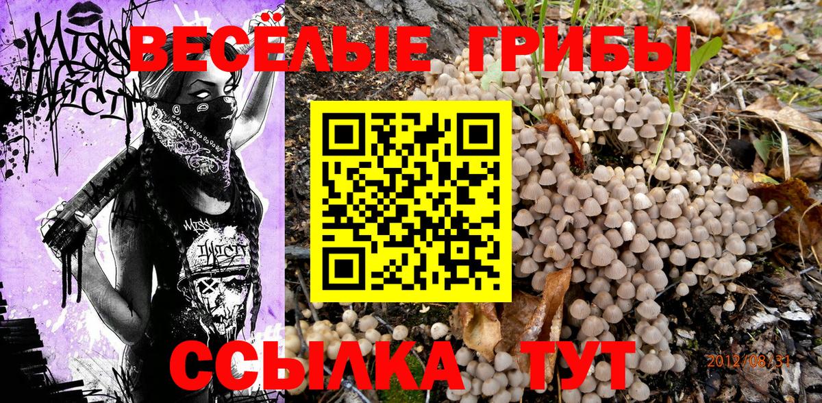 Псилоцибиновые грибы Psilocybe Шебекино